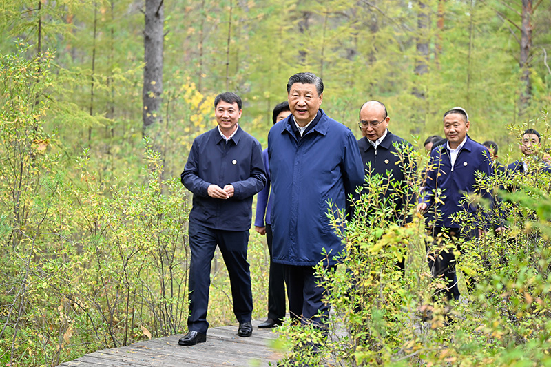 9月6日至8日，中共中央總書記、國(guó)家主席、中央軍委主席習(xí)近平在黑龍江考察。這是6日下午，習(xí)近平在大興安嶺地區(qū)漠河市漠河林場(chǎng)自然林區(qū)考察